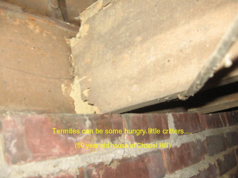 Carolina Quality Home Inspection attic inspection photo 19
