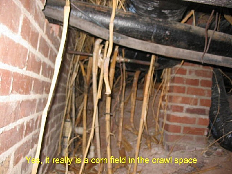 Carolina Quality Home Inspection photo 4